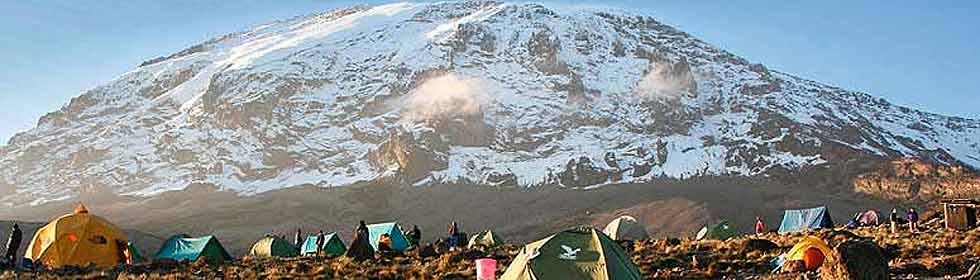 Mt Kilimanjaro