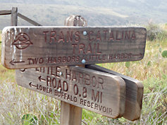 Trail Sign